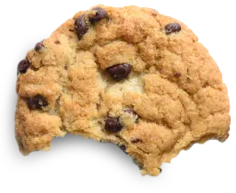 2010 Cookie